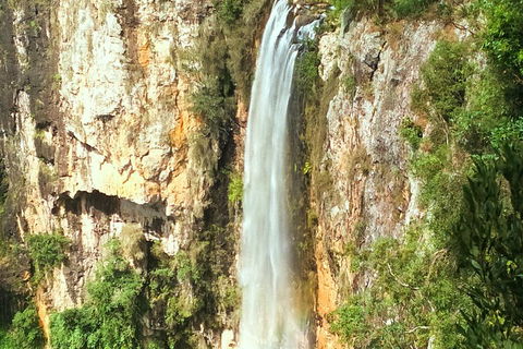 Natural Arch, Rainforest & Volcano Canyon - Private Half Day Tour - QLD Tourism 2