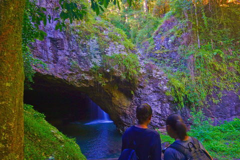 Natural Arch, Rainforest & Volcano Canyon - Private Half Day Tour - QLD Tourism 4