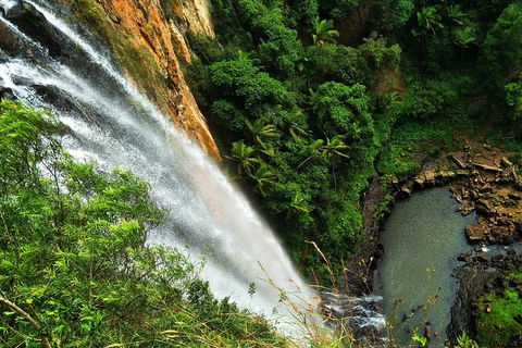 Natural Arch, Rainforest & Volcano Canyon - Private Half Day Tour - QLD Tourism 5