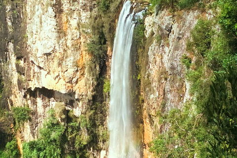Private Tour - Rainforest & Waterfalls Extravaganza - QLD Tourism 0
