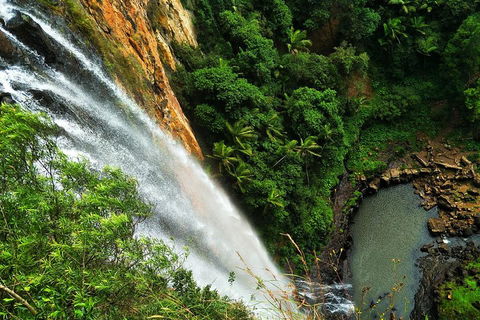 Private Tour - Rainforest & Waterfalls Extravaganza - QLD Tourism 2