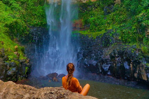 Private Tour - Rainforest & Waterfalls Extravaganza - QLD Tourism 3