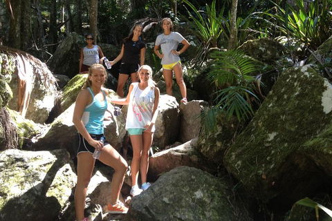 Byron Bay Hinterland Tour Including Rainforest Walk To Minyon Falls - Queensland Tourism 3