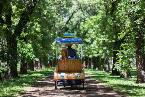 Adelaide 90-Minute Pedicab Tour: Scenic Green & River Experience - QLD Tourism 2