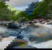 Cape Tribulation Day Tour - QLD Tourism