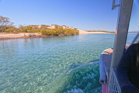1770 Coastline Tour By LARC Amphibious Vehicle Including Picnic Lunch - QLD Tourism 5