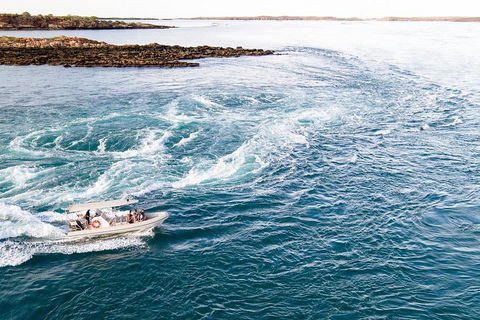 Giant Tides Tour - Cygnet Bay Pearl Farm - Queensland Tourism 4