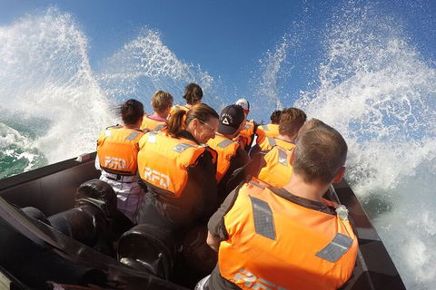 Noosa Thriller - 500hp Ocean Adventure Ride - QLD Tourism 4