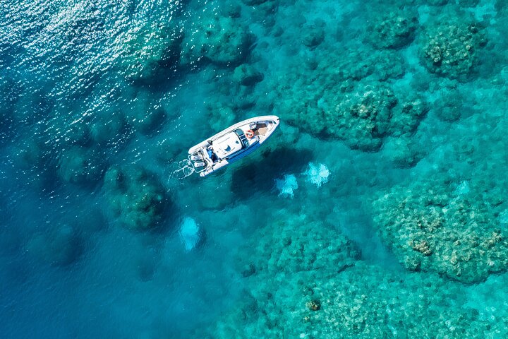 Hamilton Island QLD QLD Tourism