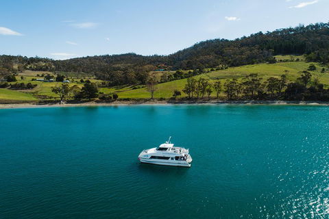 Deep-to-Dish: Tasmanian Seafood Experience - QLD Tourism 0