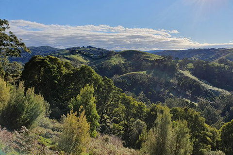 3-Day Adelaide To Melbourne Tour Including The Great Ocean Road - QLD Tourism 5