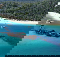 All Inclusive Tangalooma Wrecks Cruise Tour From Gold Coast - QLD Tourism