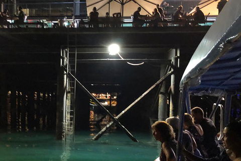 Darwin Sunset Cruise Including Fish 'n' Chips - QLD Tourism 0