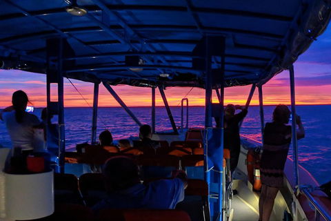 Darwin Sunset Cruise Including Fish 'n' Chips - QLD Tourism 1