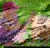 Kuranda Day Tour  HotAir Balloon Combo - QLD Tourism