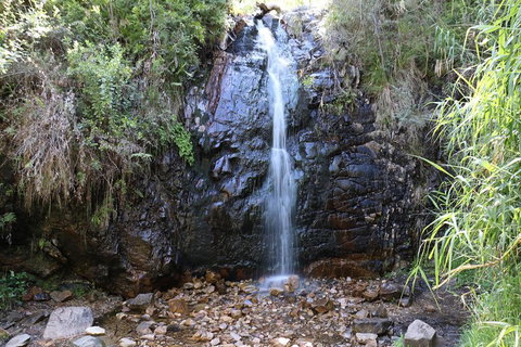 Mount Lofty Hike And Cleland Wildlife Park Day Trip From Adelaide - QLD Tourism 4