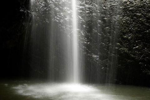 Natural Bridge Glow Worm Night Tour From Gold Coast - Queensland Tourism 2