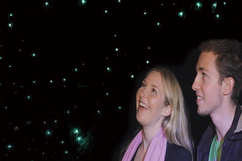 Natural Bridge Glow Worm Night Tour From Gold Coast - Queensland Tourism 3