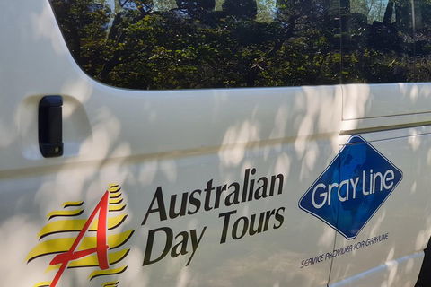 Natural Bridge Glow Worm Night Tour From Gold Coast - Queensland Tourism 5