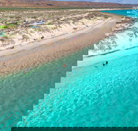 Ningaloo in a Day - Full Day Hike and Snorkel Tour with Lunch - Queensland Tourism