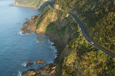 LGBT+ Friendly 2 Day Private Tour Great Ocean Road + Phillip Island - QLD Tourism 4