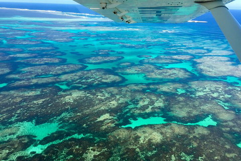 Shipwreck Special Full Day Tour Of The Abrolhos Islands - QLD Tourism 1