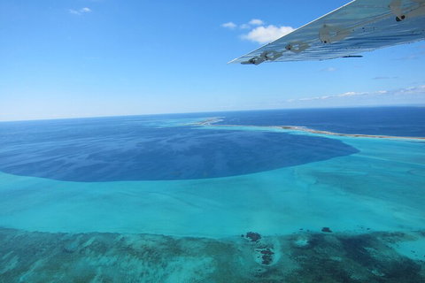 Shipwreck Special Full Day Tour Of The Abrolhos Islands - QLD Tourism 2