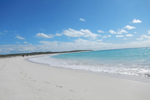 Shipwreck Special Nature Tour/Half Day Tour - QLD Tourism 0