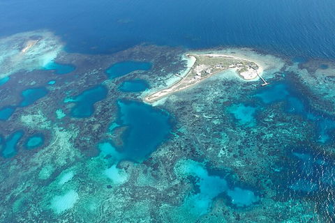 Shipwreck Special Nature Tour/Half Day Tour - QLD Tourism 5