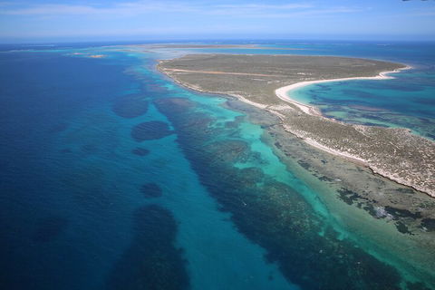 Pink Lake + Abrolhos Islands Scenic Flight - Queensland Tourism 0