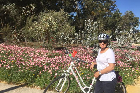 Perth Bike Tour - Beautiful Matilda Bay And Kings Park - QLD Tourism 1
