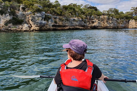 Cliffs And Caves Kayak Tour In Swan River - QLD Tourism 0