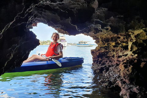 Cliffs And Caves Kayak Tour In Swan River - QLD Tourism 1