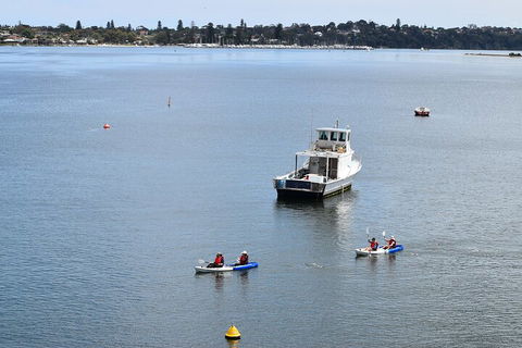 Cliffs And Caves Kayak Tour In Swan River - QLD Tourism 2
