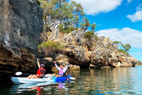 Cliffs And Caves Kayak Tour In Swan River - QLD Tourism 3
