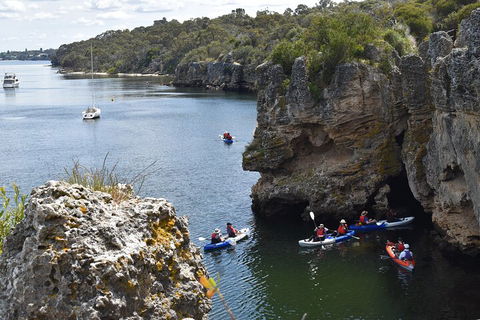 Cliffs And Caves Kayak Tour In Swan River - QLD Tourism 5