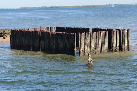 Best Of Moreton Bay Cruise - QLD Tourism 1