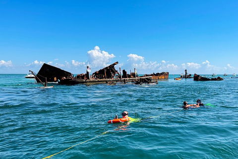 Best Of Moreton Bay Cruise - QLD Tourism 5