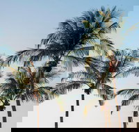 Darwin City Sightseeing Tour - QLD Tourism