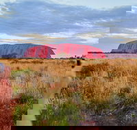 Uluru Ayers Rock Sunset with Outback Barbecue Dinner and Star Tour - QLD Tourism