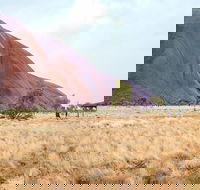 Uluru Sunrise and Guided Base Walk - QLD Tourism