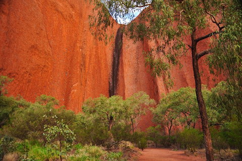 Uluru Sunrise And Guided Base Walk - QLD Tourism 3