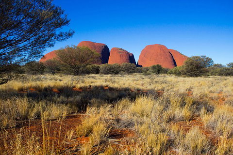 Kata Tjuta Sunrise And Valley Of The Winds Half-Day Trip - QLD Tourism 1