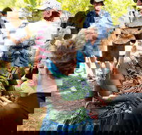 Tiwi Islands Cultural Experience from Darwin Including Ferry - QLD Tourism