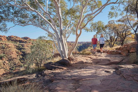 3-Day Tour From Uluru (Ayers Rock) To Alice Springs Via Kings Canyon - QLD Tourism 1