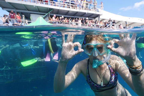 Great Barrier Reef Day Cruise From Cairns Including Snorkeling And Marine Biologist Presentation - QLD Tourism 0