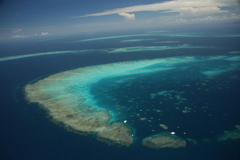 Great Barrier Reef Day Cruise From Cairns Including Snorkeling And Marine Biologist Presentation - QLD Tourism 1