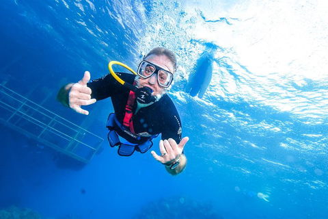 Great Barrier Reef Day Cruise From Cairns Including Snorkeling And Marine Biologist Presentation - QLD Tourism 3