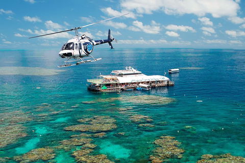 Great Barrier Reef Day Cruise From Cairns Including Snorkeling And Marine Biologist Presentation - QLD Tourism 5