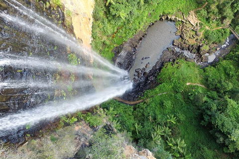 Natural Bridge & Springbrook Waterfalls Tour + Hot Air Balloon With Breakfast - QLD Tourism 1